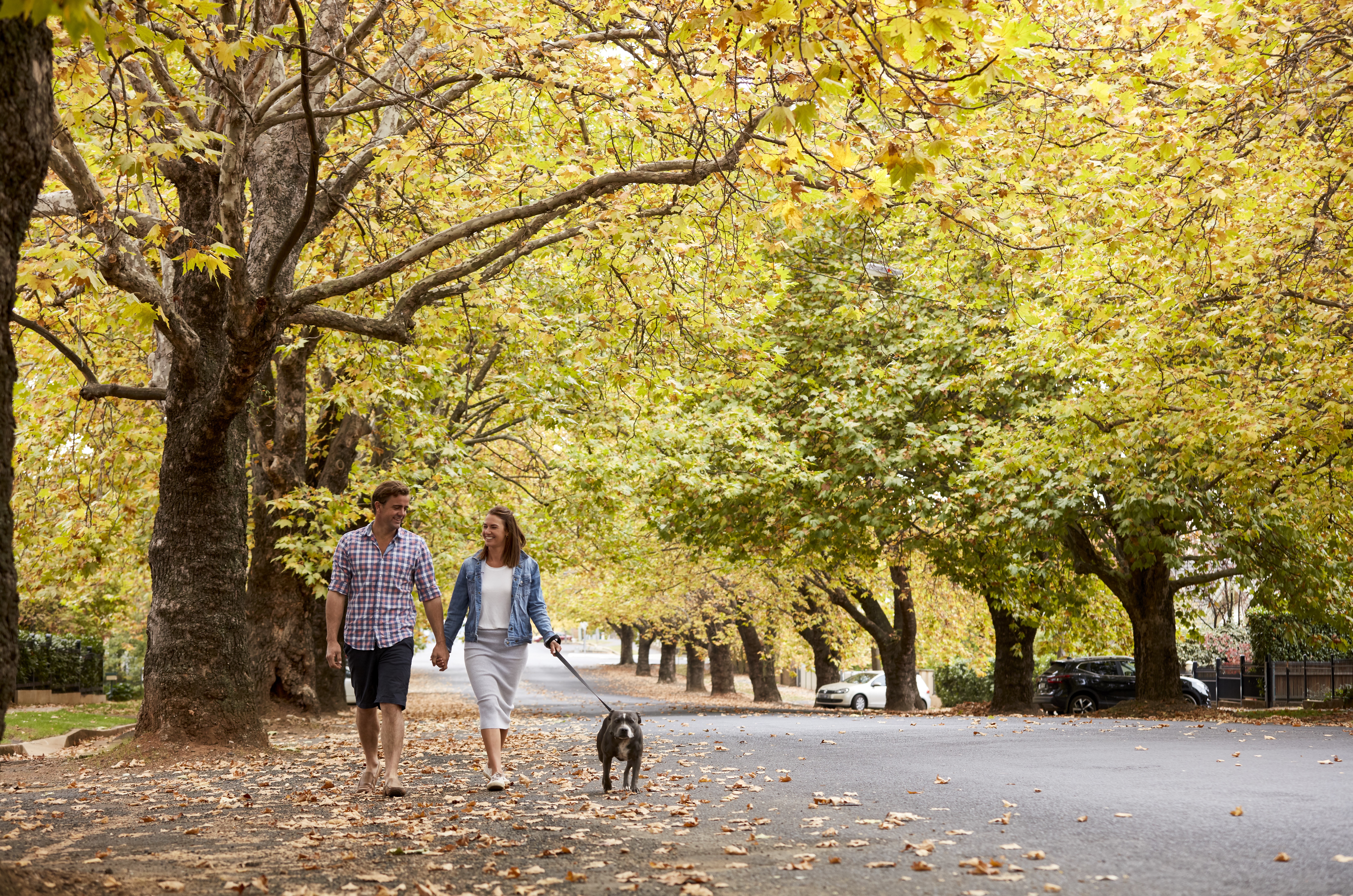 A photo of a couple walking down a leafy street in Orange